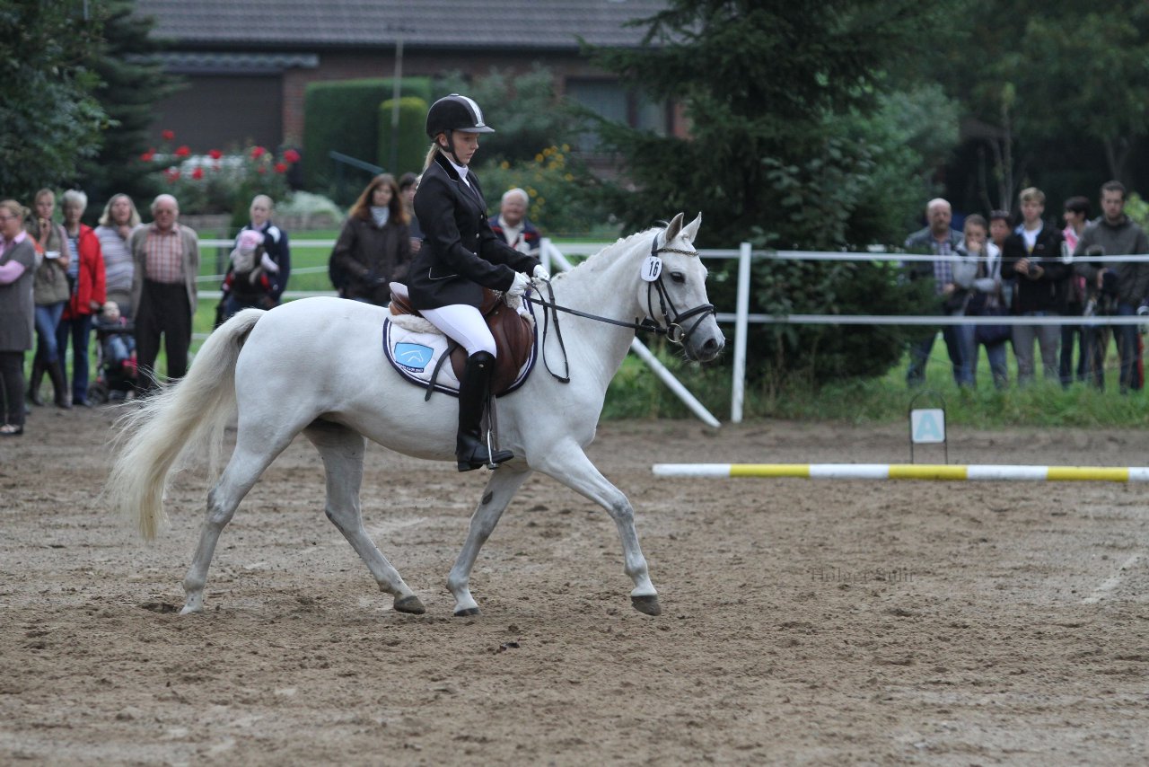 Bild 381 - WBO-Turnier am 18.9.11